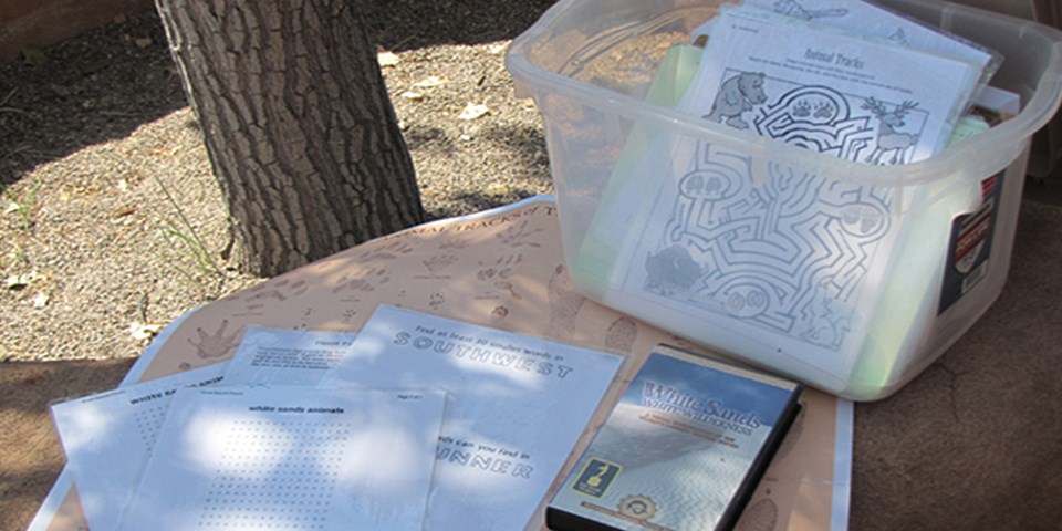 Papers, posters and a movie laid out next to a plastic bin holding additional items Papers, posters and a movie laid out next to a plastic bin holding additional items