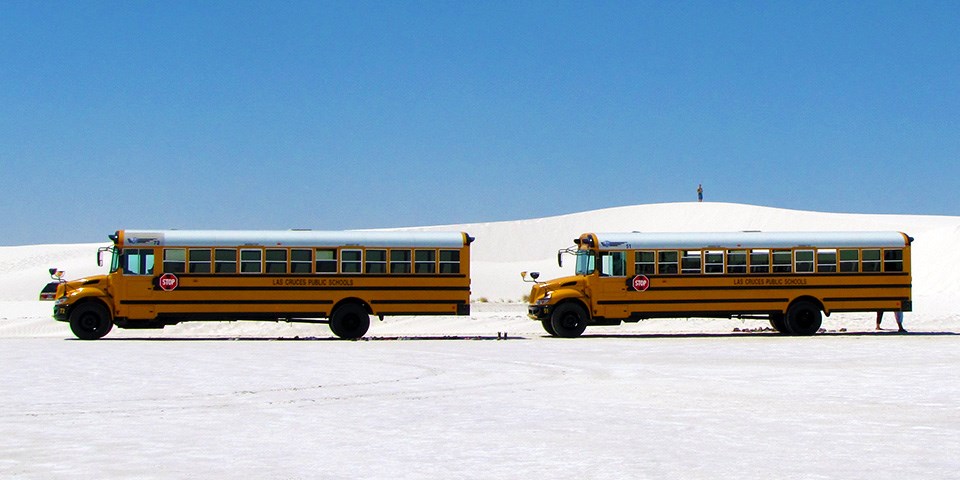 Two yellow school buses parked by the white gypsum dunes. Two yellow school buses parked by the white gypsum dunes.