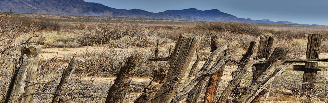 Image of Homestead ruins fence