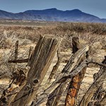 Historic Fence at the Lake Lucero ranch site