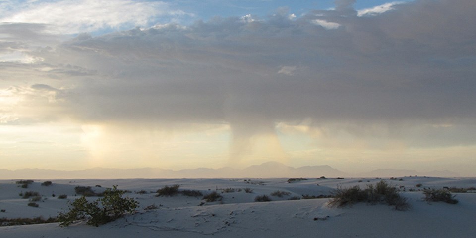Dunefield with rain clouds in the sky