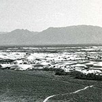 Historic aerial of dunefield.