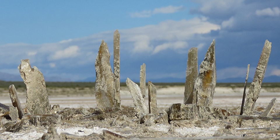 Gypsum Crystals