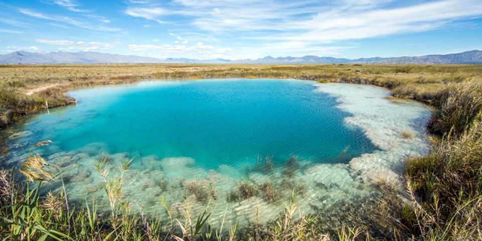 Large pond with turquoise water and brown vegetation. Large pond with turquoise water and brown vegetation.