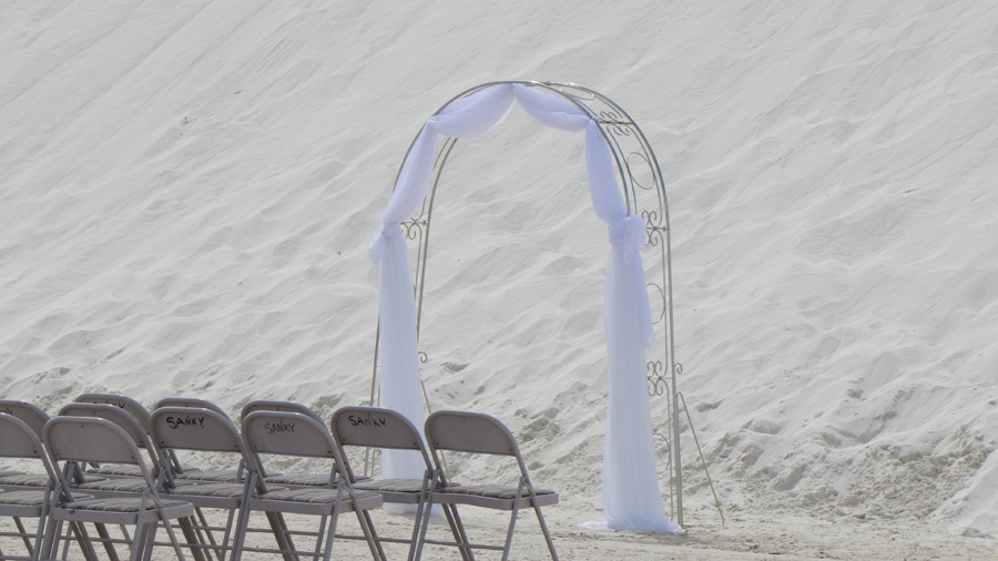 Wedding Wedding