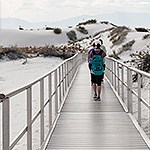 A visitor walks down a silver board walk towards dunes with vegetation
