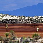 Red playa system off the edge of the dunefield.