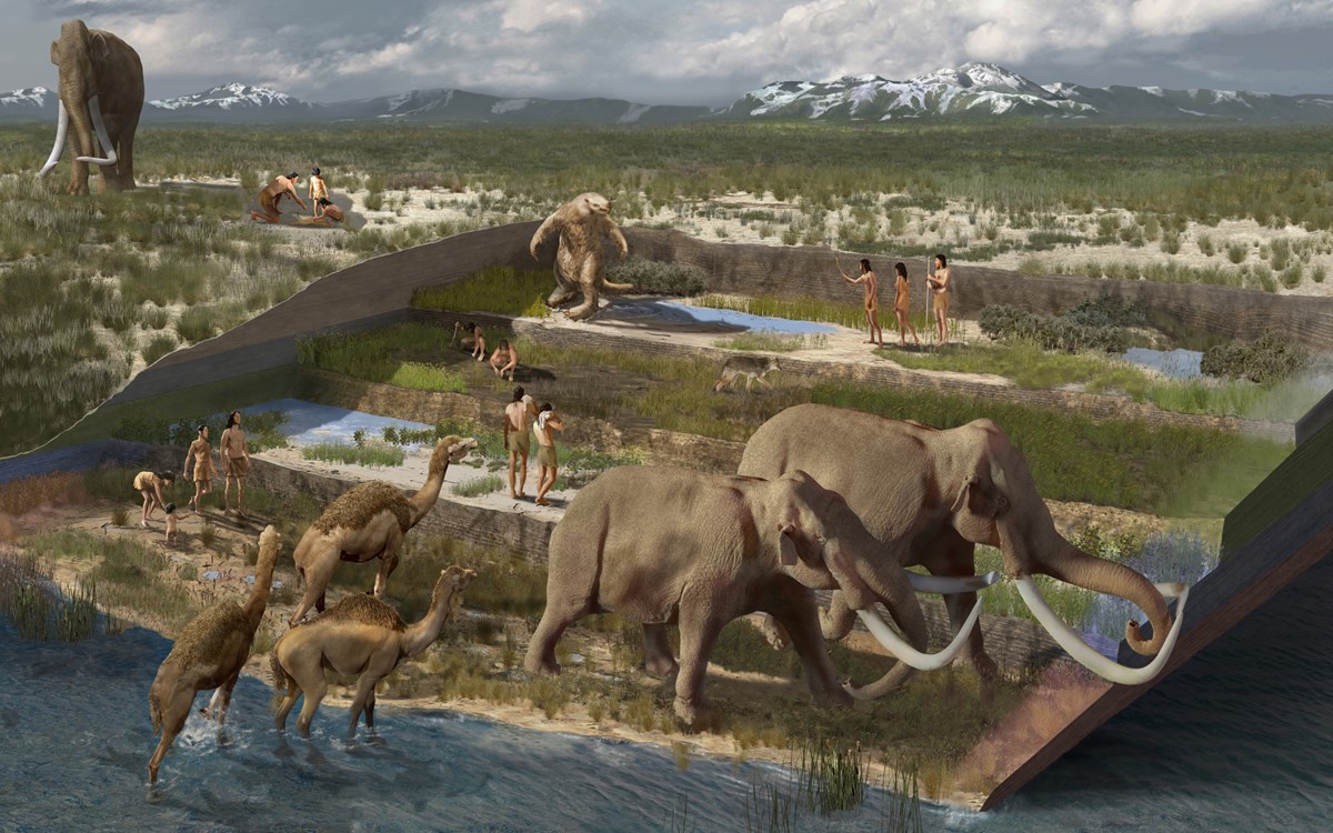 Artist rendition of ice age megafauna at different "time periods" showing mammoths, giant sloths, American camel, and human in a lush grassland landscape