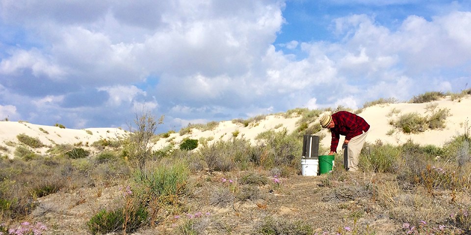 A man in red plaid bends over and examines a bucket amidst grassy scrub