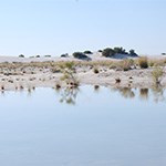 Water in White Sands.