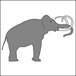 drawing of a Columbian Mammoth