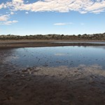 Vegetation and playa filled with water