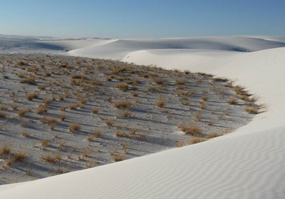 Interdune area at White Sands Interdune area at White Sands