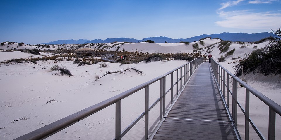 Visitor walking on the Interdune Boardwalk Trail at White Sands National Monument