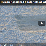 Fossilized Footprint Video Thumbnail (Human)