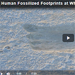 Fossilized Footprint Video Thumbnail Fossilized Footprint Video Thumbnail (Human)