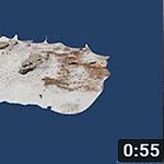 Mammoth Footprint Photogrammetry Mammoth Footprint Photogrammetry