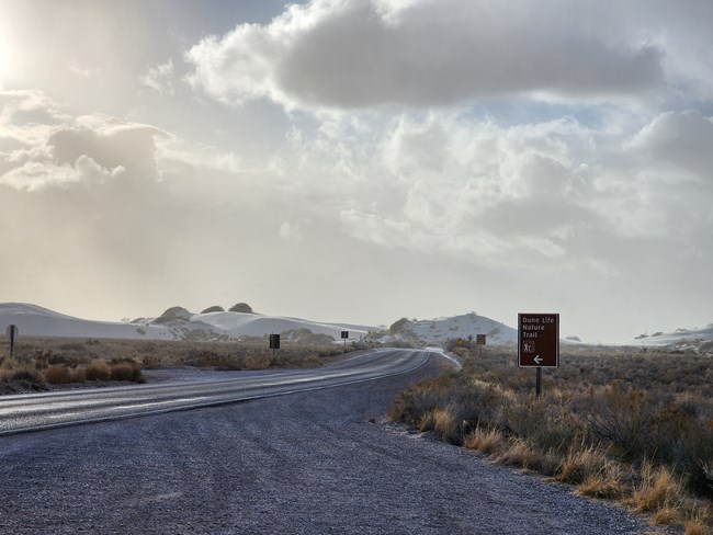 paved road extends into sand dunes in the distance. A sign says Dune Life Nature Trail. Completely whited out sky looks like low clouds but it actually caused by blowing sand.