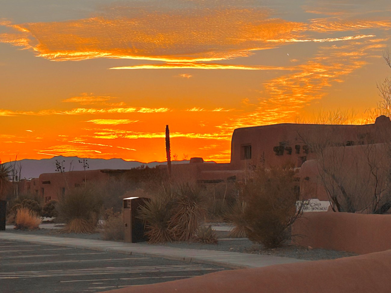a variety of desert plants sits in front of an adobe structure. A golden organge sunset lights the sky behind the building.
