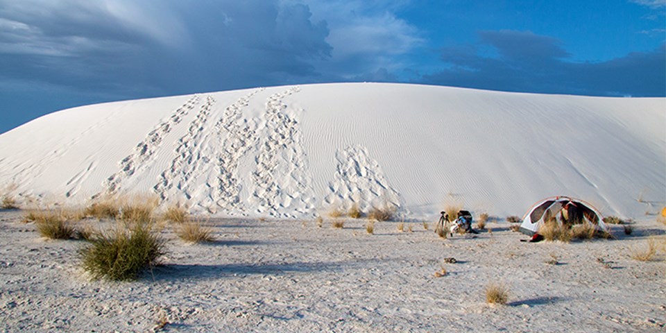 Dune in background with white and black tent set up in front of dune