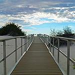 Interdune boardwalk trail.