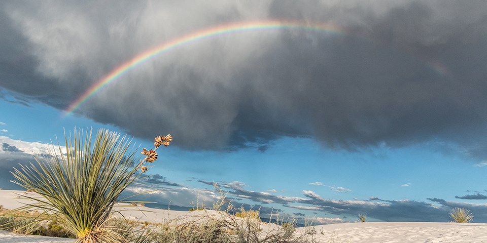 Français White Sands National Park Us National Park