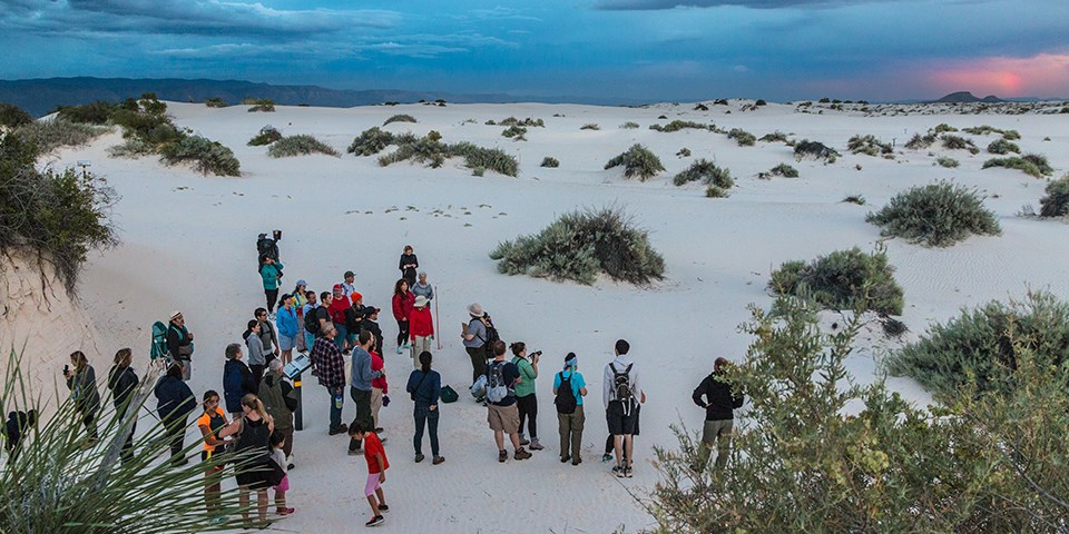 A group of people stand in white dunes surrounded by vegetation under an evening sky A group of people stand in white dunes surrounded by vegetation under an evening sky
