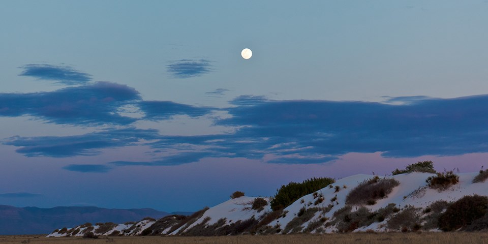 植物に覆われた砂丘の上に昇る満月