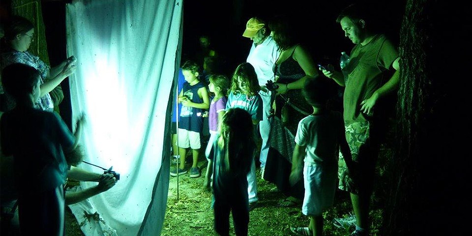 Youth and adults gather around a white sheet lit with black light to observe and take pictures