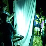 White sheet with adults and children looking at moths