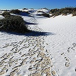 Snow with footprints on sand