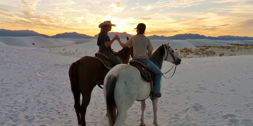 Two visitors riding horses holding hands with a sunset on the background.