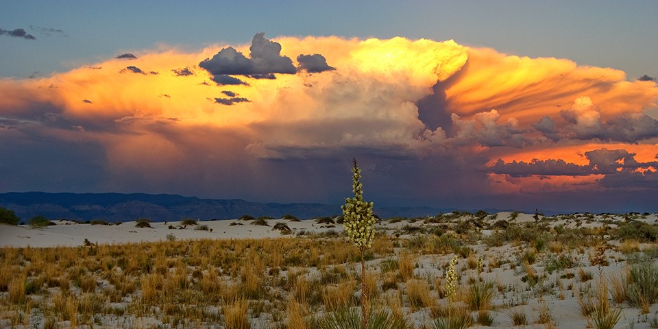 Bright orange and yellow storm clouds light up the sky above a grassy interdunal area