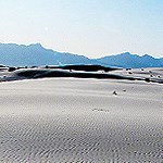 Dunefield with the San Andres Mountains on the background.