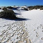 Footprints on a trail with white snow on top of tan colored sand.