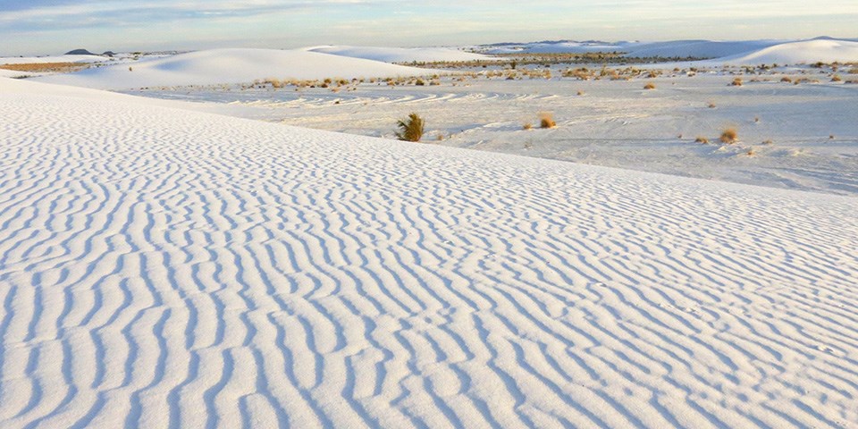 White Sands National Monument WHSA_dunefield