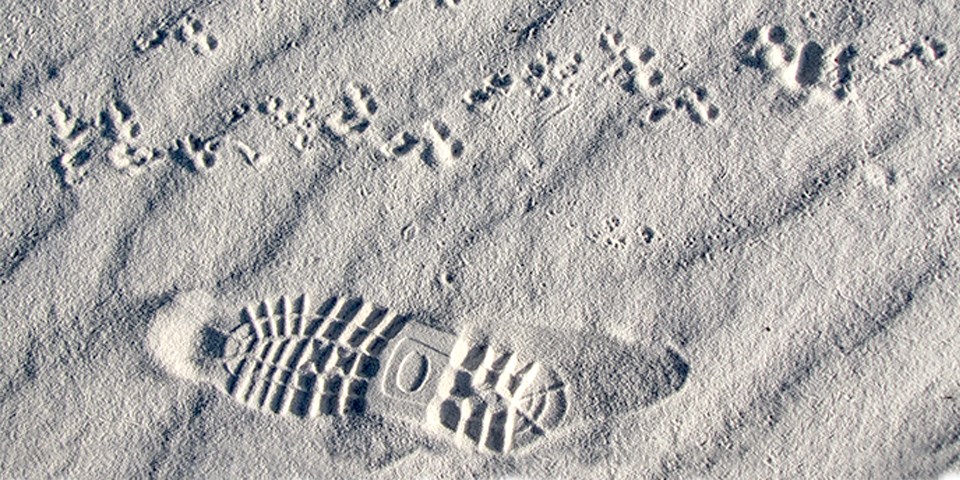 Footprint of a boot in the dunefield.