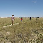 Three hikers on a trail surrounded by grass