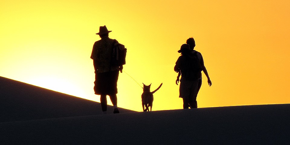 Silhouettes of visitors and a dog hiking on the dunefield.