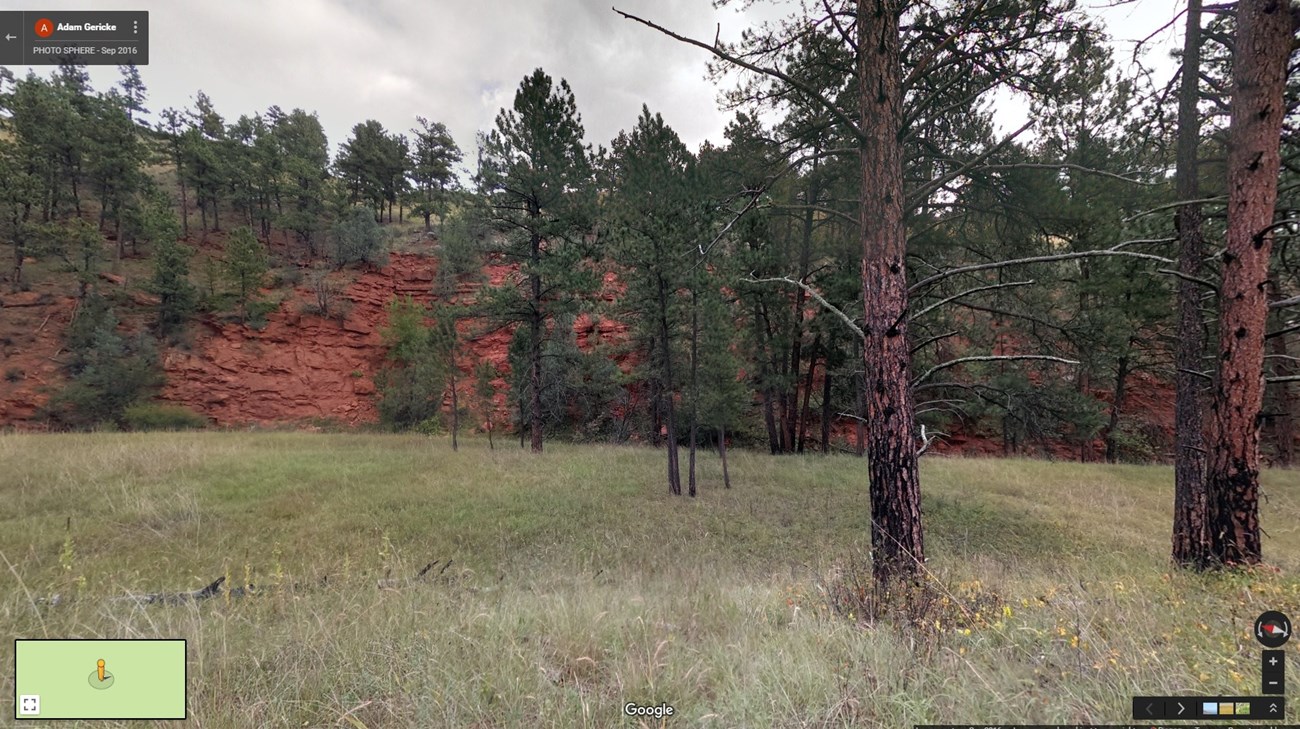 Forest meadow surrounded by red cliffs