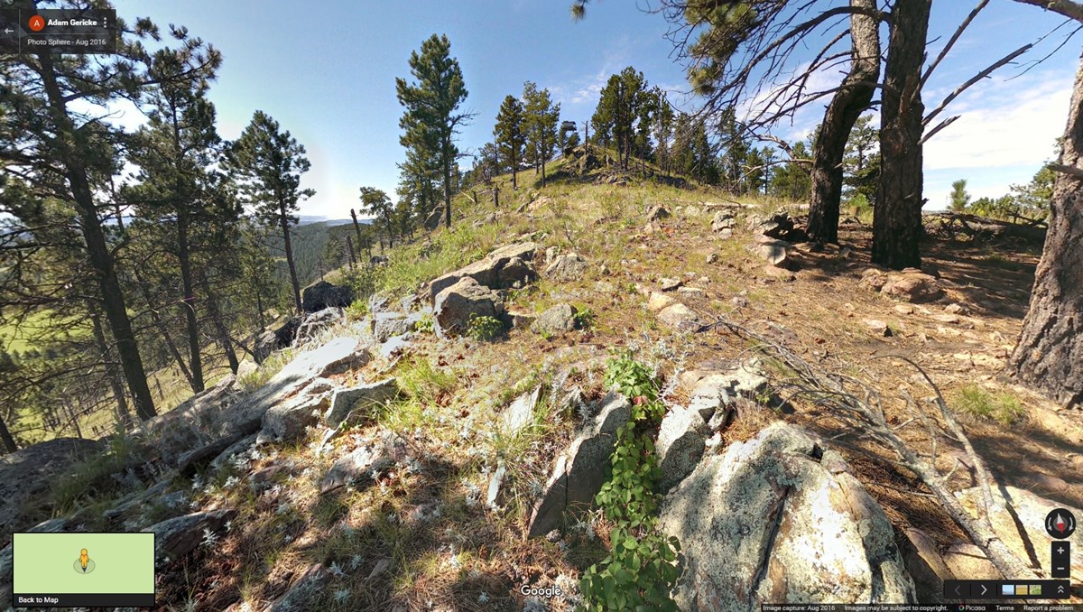 Ponderosa pine forest mixed with prairie Ponderosa pine forest mixed with prairie