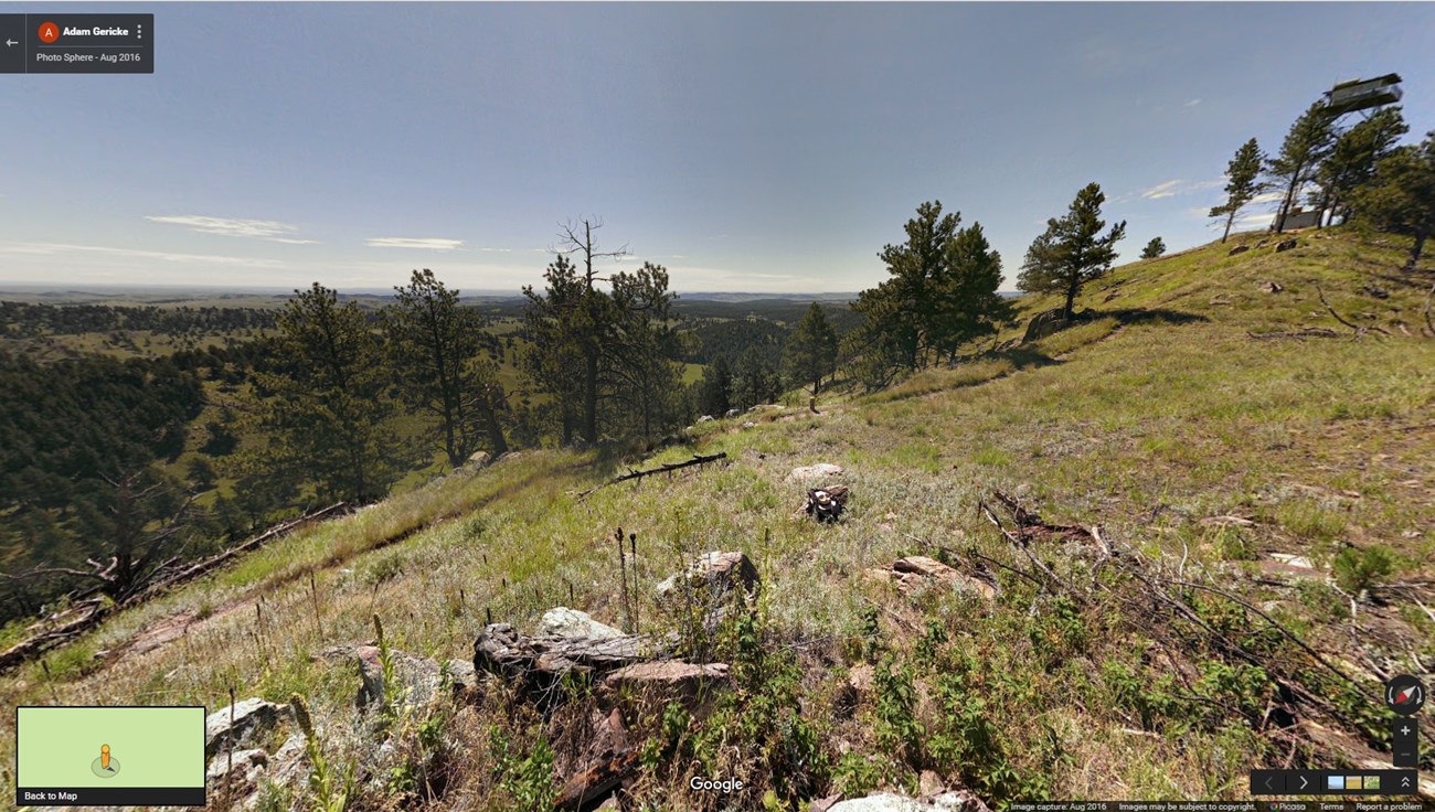 view of prairies and ponderosa pines from Rankin Ridge
