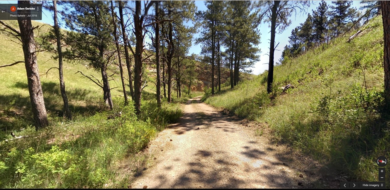 gravel road next to a shady hillside