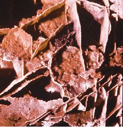 Boxwork Boxwork
