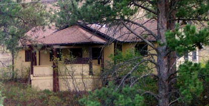 a yellow house with a brown roof and trim partly obscured by pine trees and shrubs