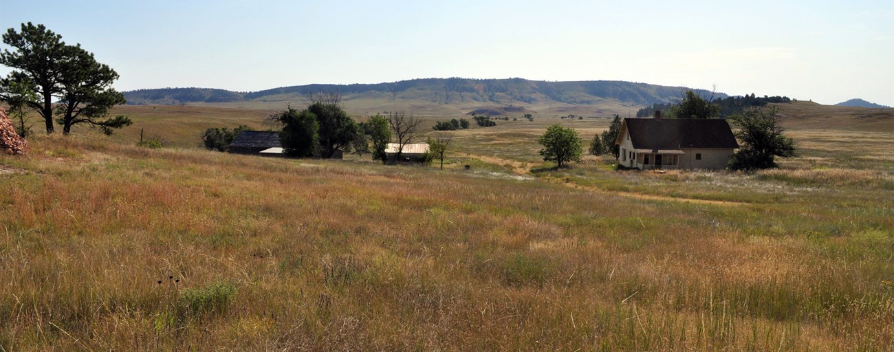 a small farmhouse and several smaller old wooden buildings in a prairie with rolling hills dotted with trees in the distance