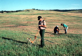 Vegetation Monitoring Vegetation Monitoring