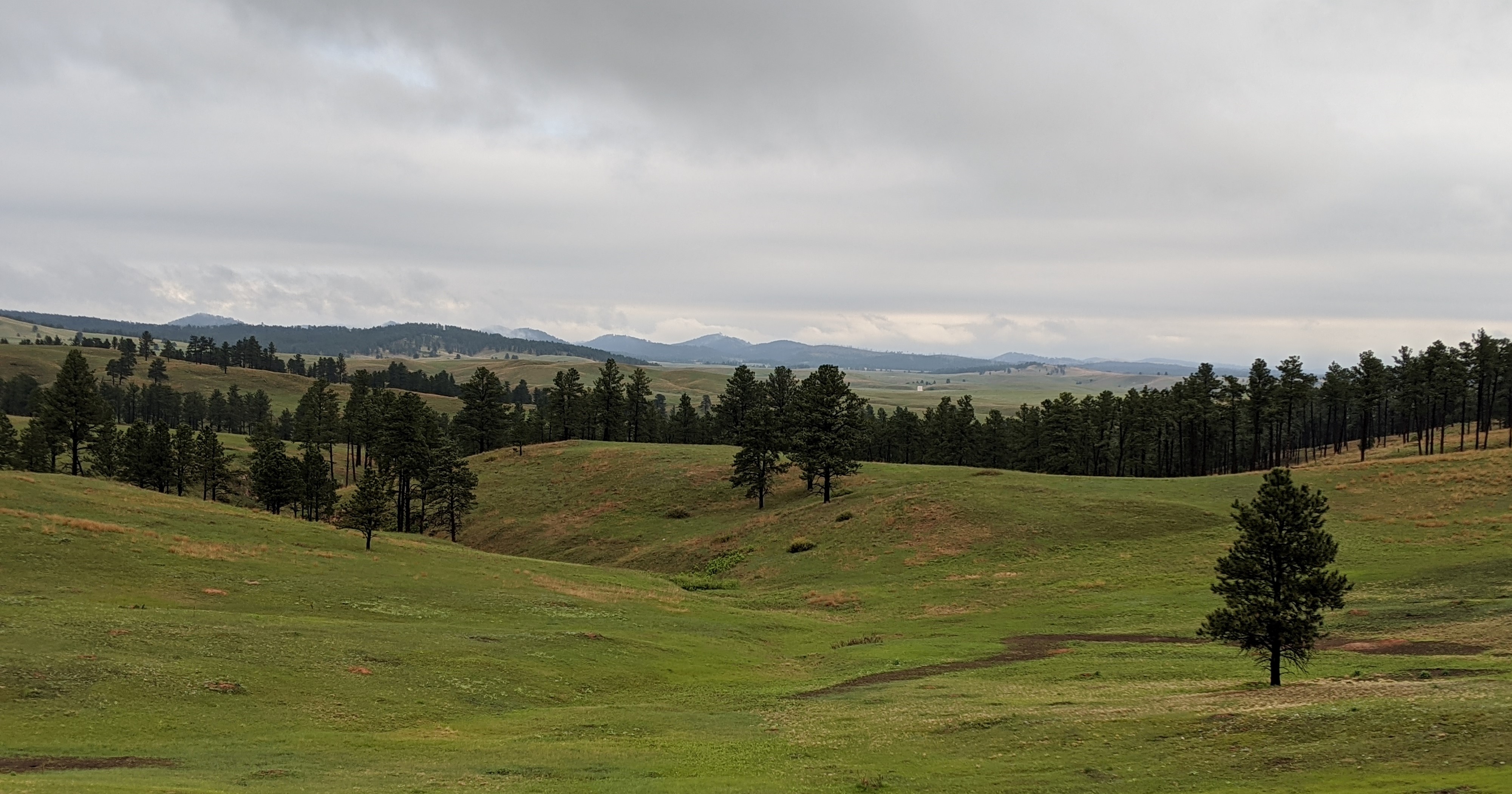 Superintendent's Compendium - Wind Cave National Park (U.S. National Park Service)