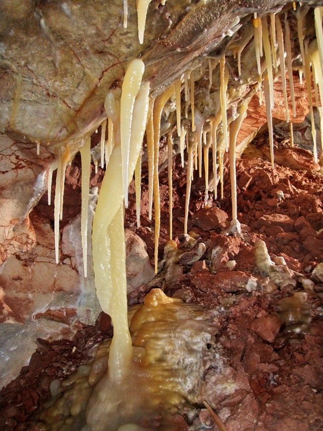 Multiple stalactites hang from a cave ceiling.