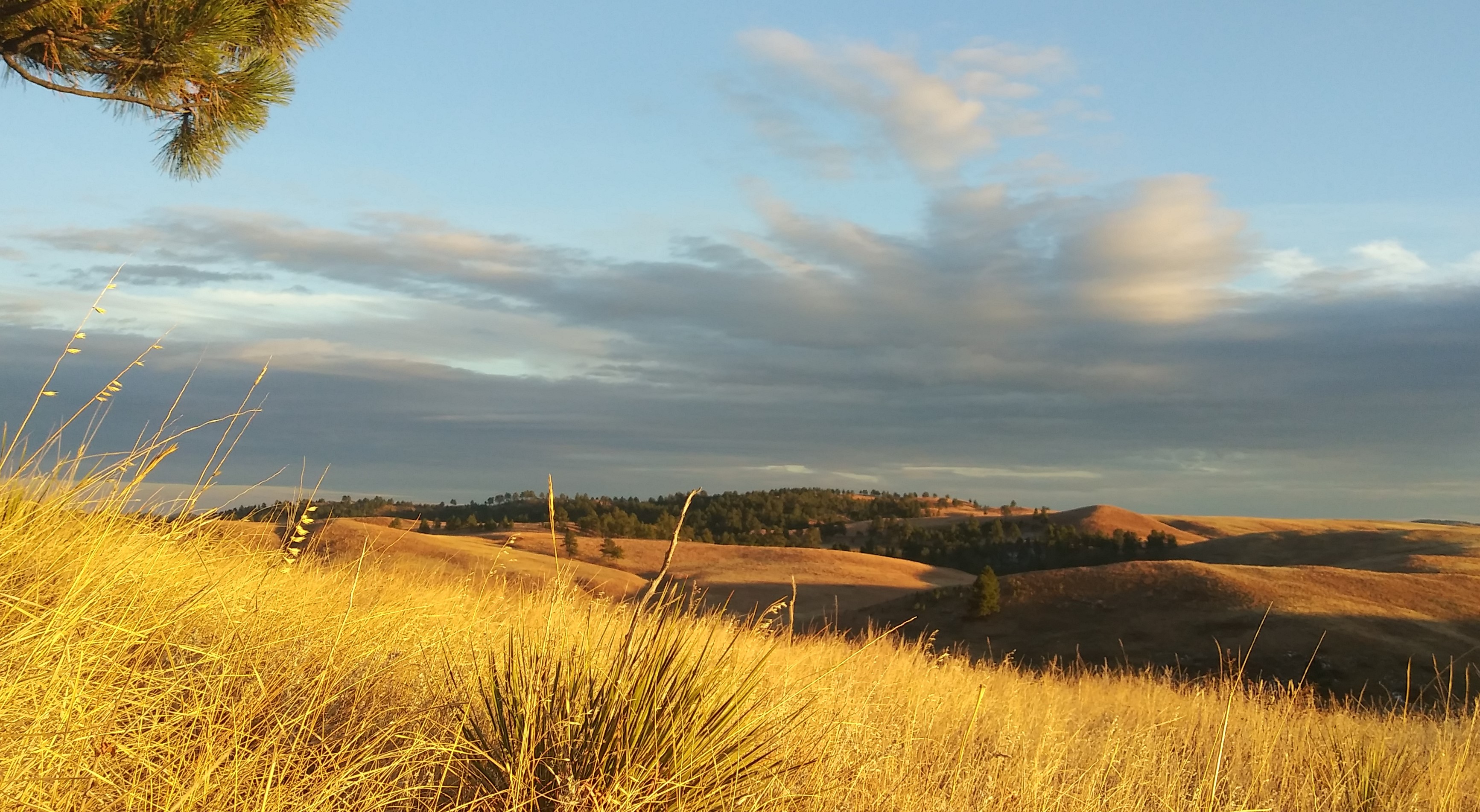 Winter - Prairie West